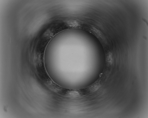 X0000103470572200809121631