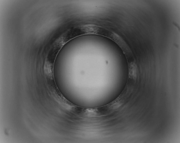 X0000103470573200809121631