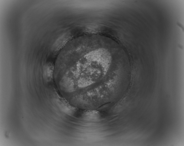 X0000103470576200809121631