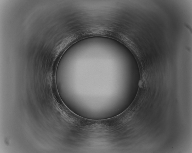 X0000103470578200809121630