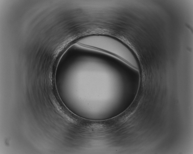 X0000103470581200809121630