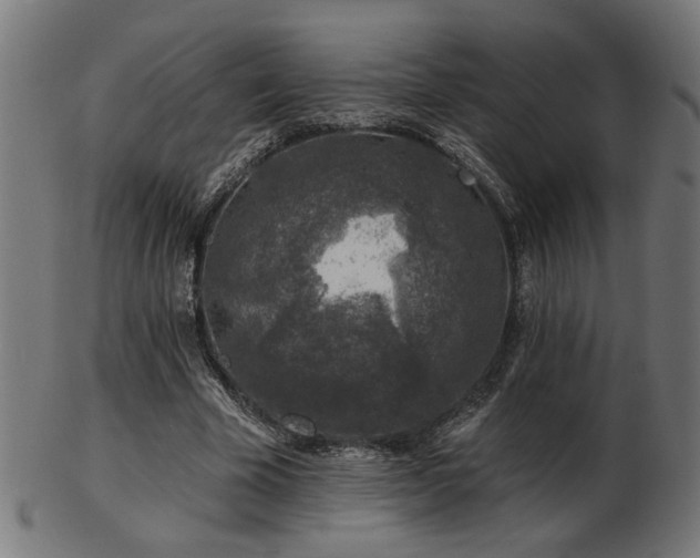 X0000103470585200809121630