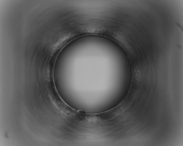 X0000103470587200809121630