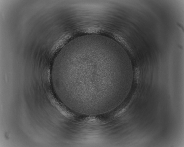 X0000103470589200809121630