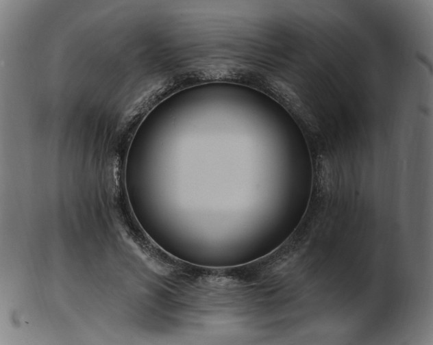 X0000103470590200809121630