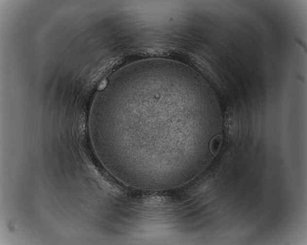 X0000103470593200809121630