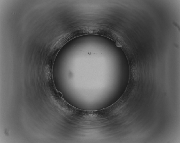 X0000103470594200809121630