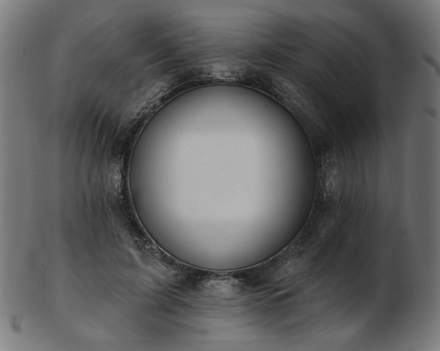 X0000103470595200809121630