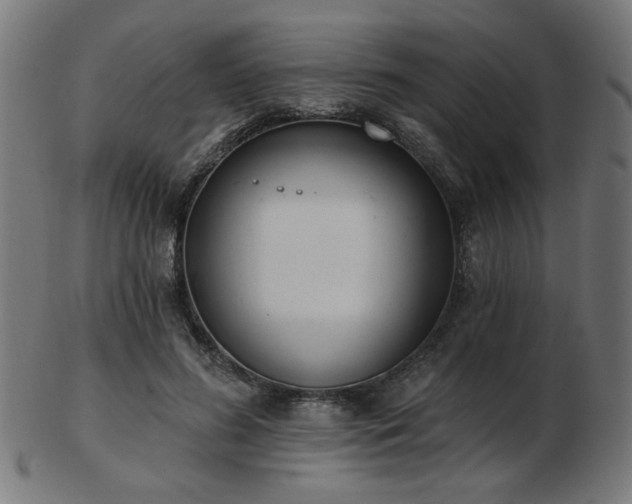 X0000103470596200809121630