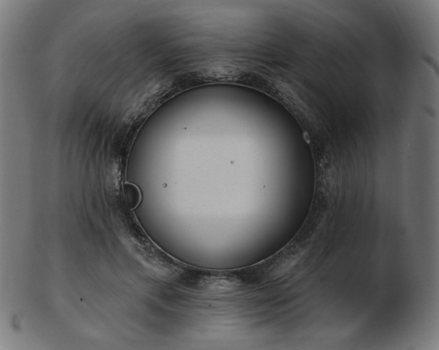 X0000103470597200809121630