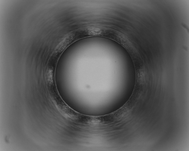 X0000103470598200809121630