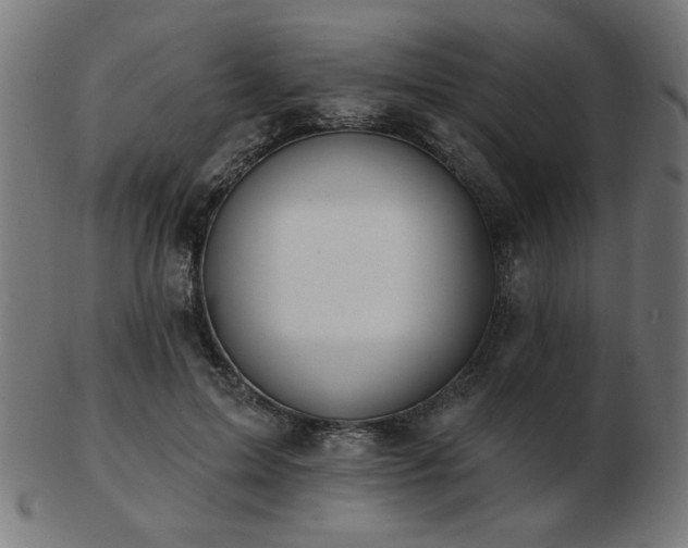 X0000103470599200809121630