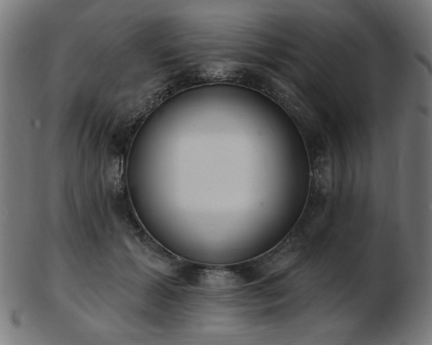 X0000103470605200809121630