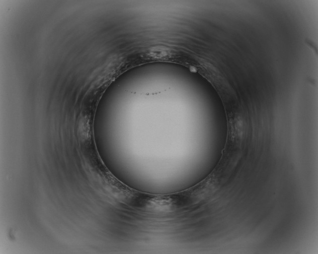 X0000103470606200809121630