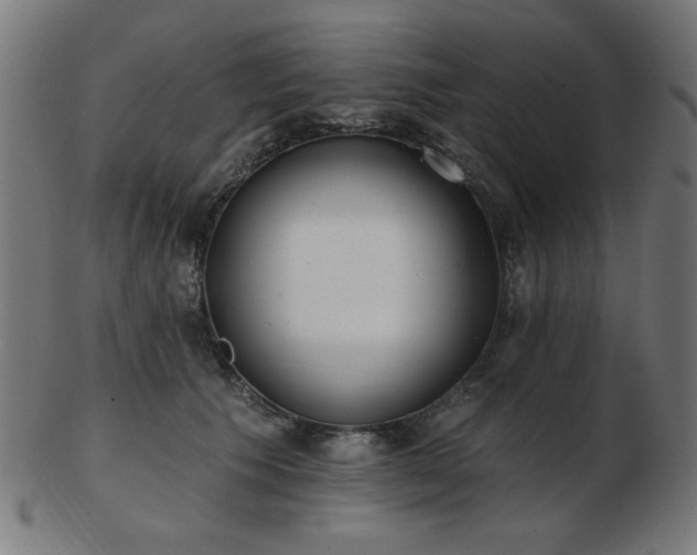 X0000103470609200809121630