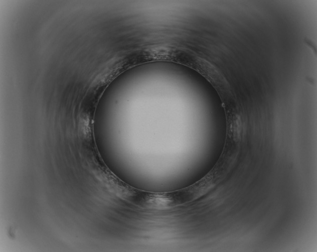 X0000103470610200809121630