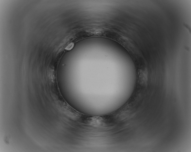 X0000103470612200809121629