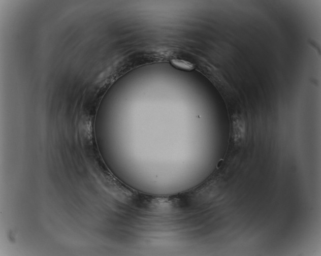 X0000103470613200809121629