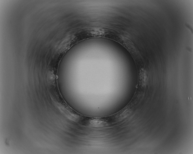 X0000103470614200809121629