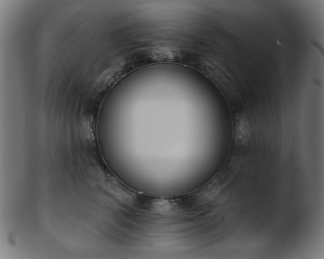 X0000103470616200809121629