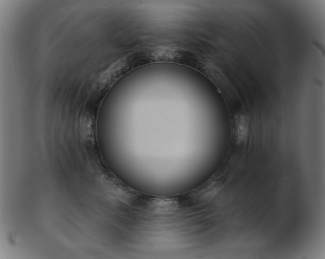 X0000103470619200809121629