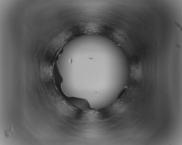 X0000103470621200809121629