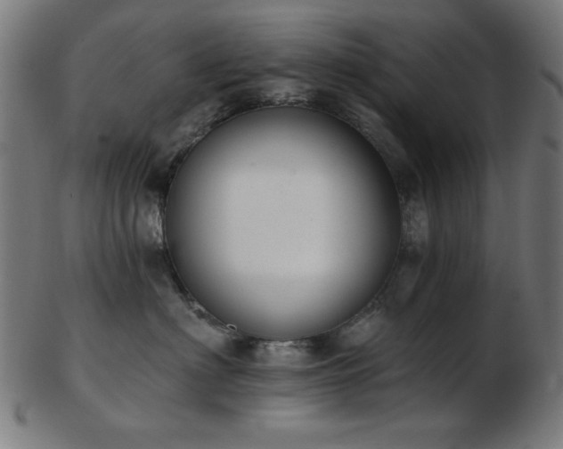 X0000103470622200809121629