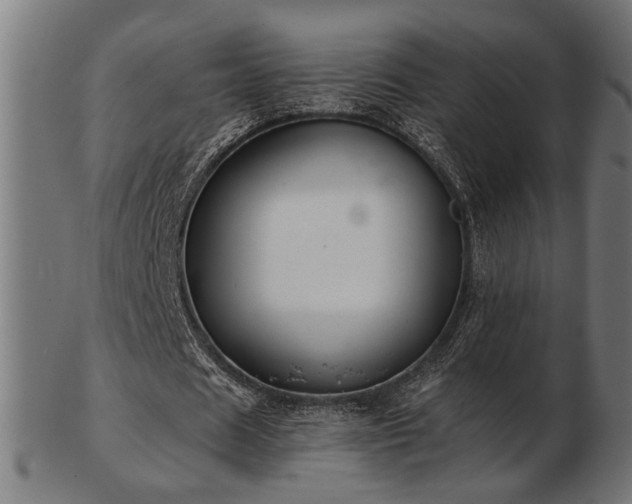 X0000103470625200809121629