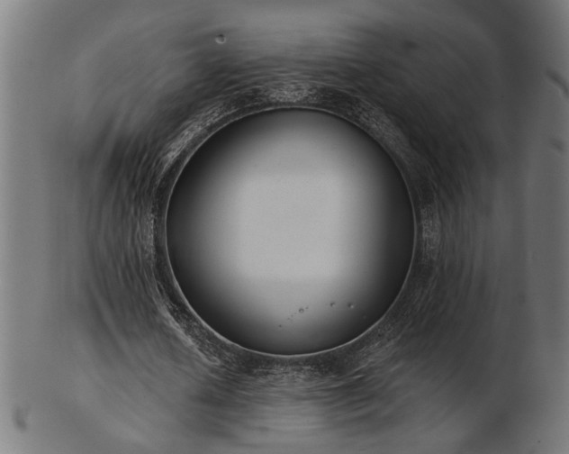 X0000103470626200809121629