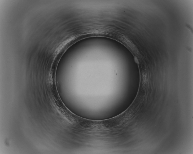 X0000103470628200809121629