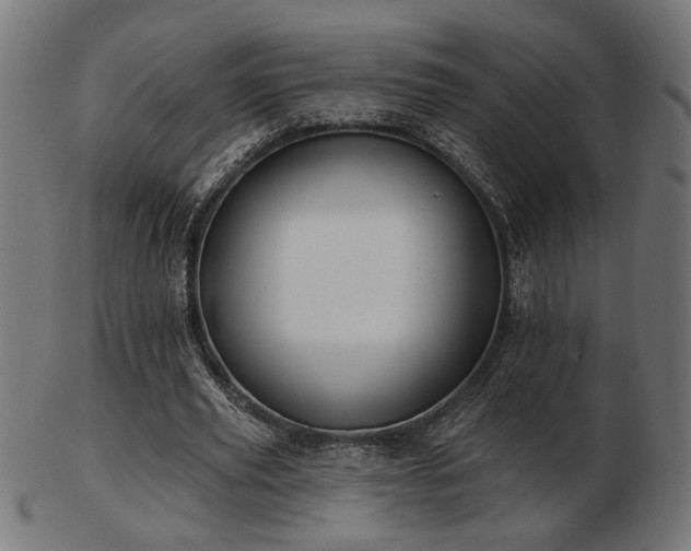 X0000103470629200809121629