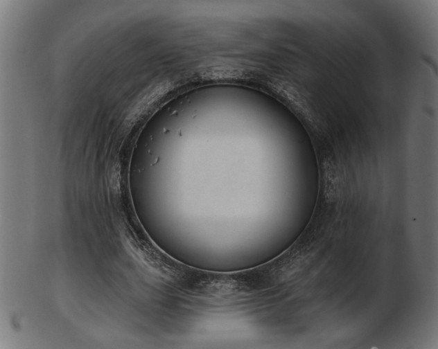 X0000103470631200809121629