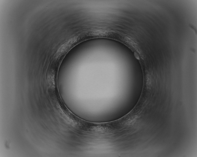 X0000103470633200809121629