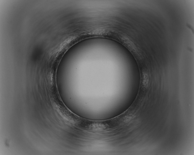 X0000103470636200809121629