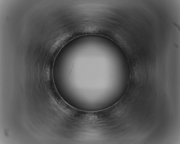 X0000103470640200809121629