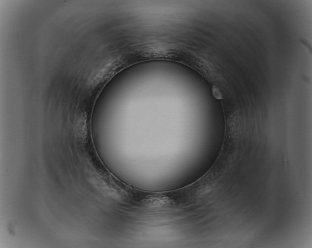 X0000103470642200809121629