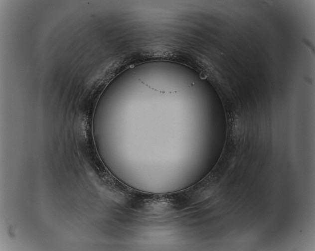 X0000103470643200809121629