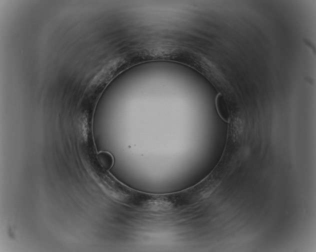 X0000103470644200809121629