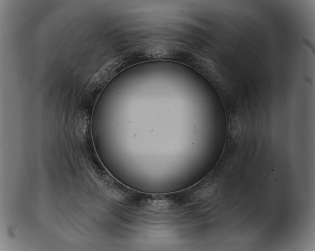 X0000103470645200809121629