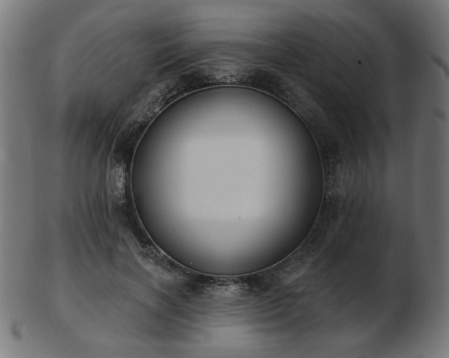 X0000103470646200809121629