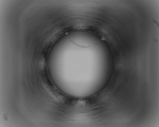 X0000103470647200809121629