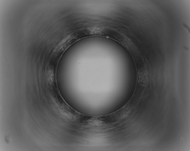 X0000103470648200809121629