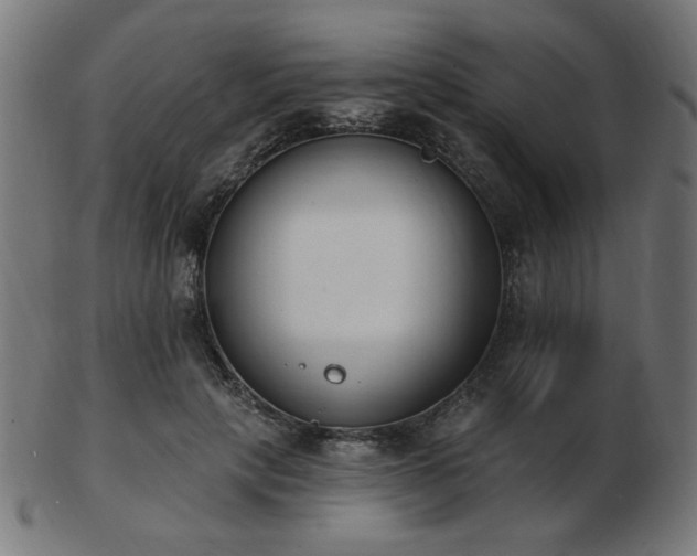 X0000103470649200809121629