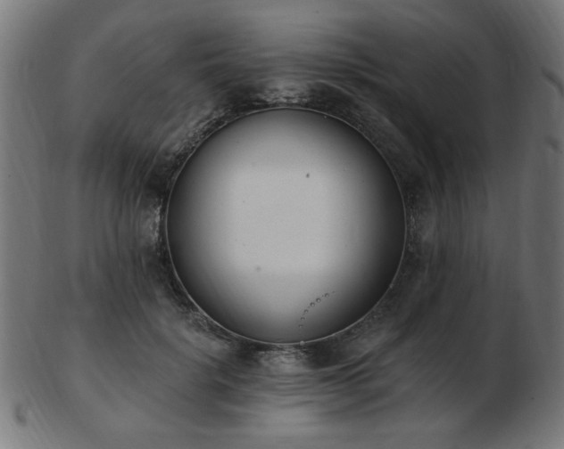 X0000103470652200809121629