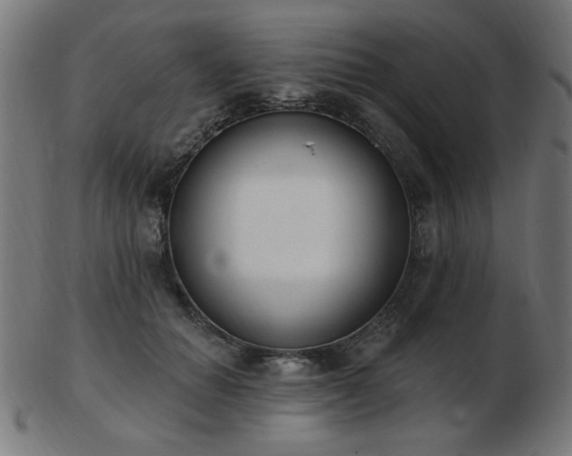 X0000103470654200809121629