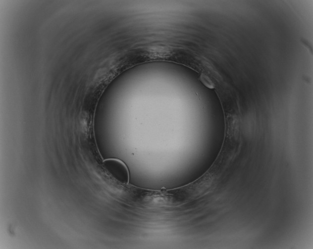 X0000103470655200809121629