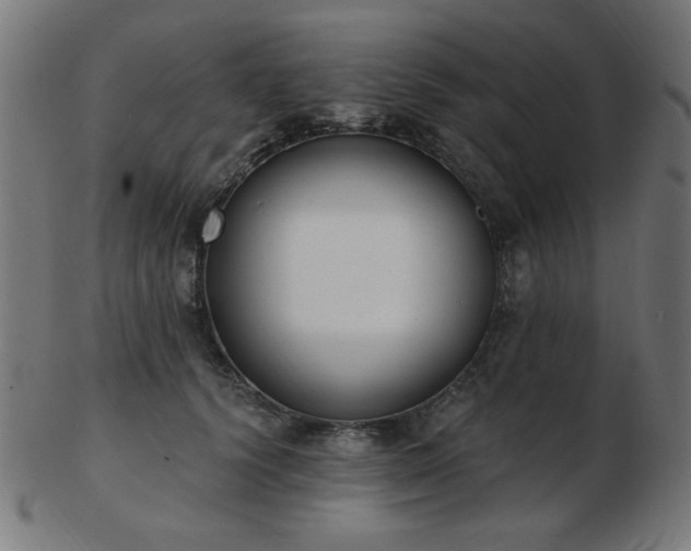 X0000103470656200809121629