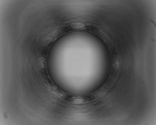 X0000103470658200809121629