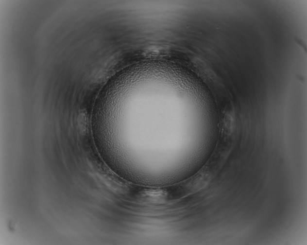 X0000103470659200809121629