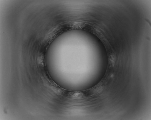 X0000103470663200809121629